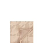 Rinascimento ACV0014139003